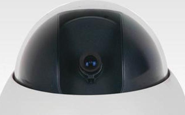 BL-806SL 1/3 Sony 480 TV Line Gece Görüş Dome Kamera resim2