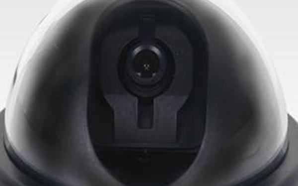 BL-808H/4 1/3 Sony 480 TV Line Gece Görüş Dome Kamera resim2